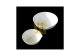 CAPSULA PORCELANA 58 x 24 MM 30 ML EVAPORACION MOD-131/2 HALDENWANGER