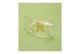 GAFAS ULTRASPEC 2000