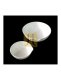 CAPSULA PORCELANA 110 x 52 MM 250 ML EVAPORACION MOD-130/6 F/ REDONDO HALDENWAGER