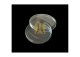 CAJA PETRY 120 x 20 MM SIMAX