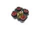 ROTOR OSCILANTE PARA 4 BOLSAS DE SANGRE (750 ML.) (solo refrigerada) (ENCODER). ORTO